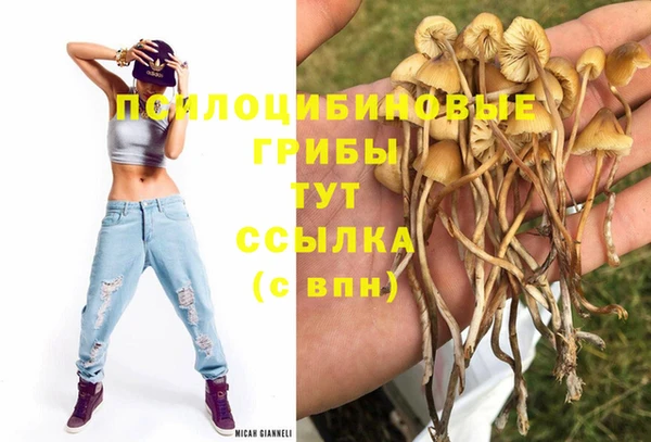 спиды Коряжма
