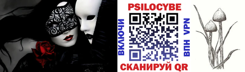 Псилоцибиновые грибы Psilocybe  Купить  Тбилисская 